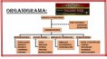 /album/fotogaleria-servicios-y-presentacion/organigrama-jpg1/